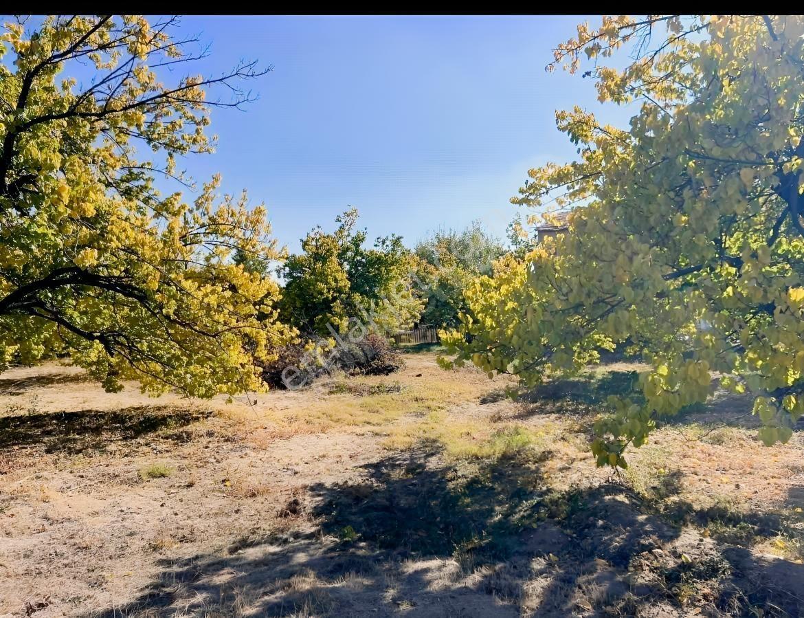 Yeşilyurt Çarmuzu 20.526 M² Satılık Kayısı Bahçesi+2 Müstakil Ev — fotoğraf 7