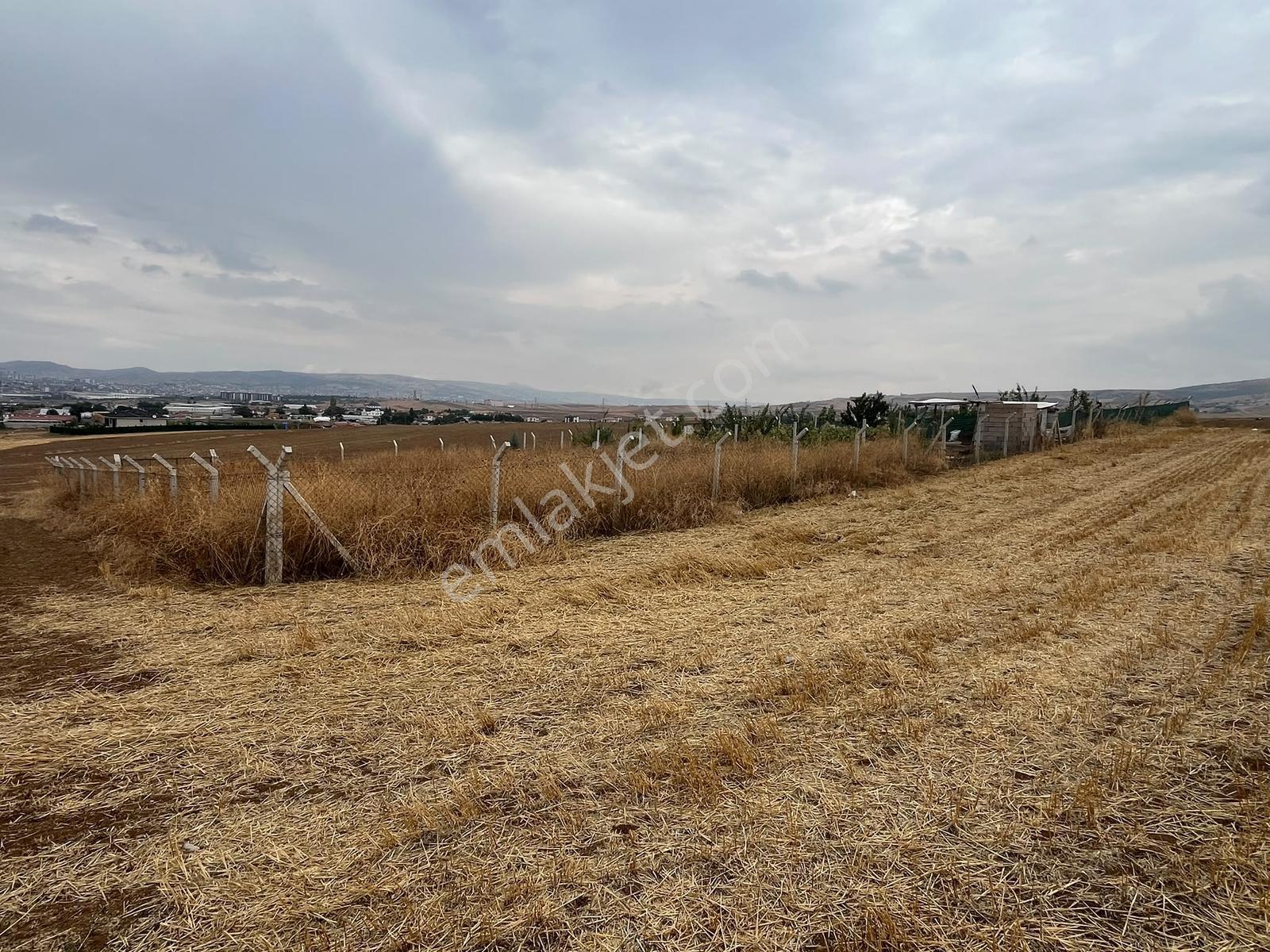 Nova'Dan Ahılıda Tel Örgülü 513 M2 Arsa