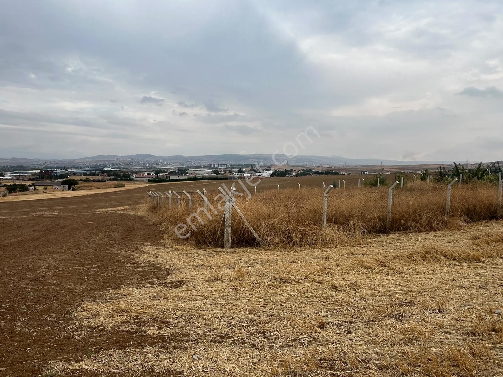 Nova'dan Ahılıda Tel Örgülü 513 M2 Arsa — fotoğraf 2