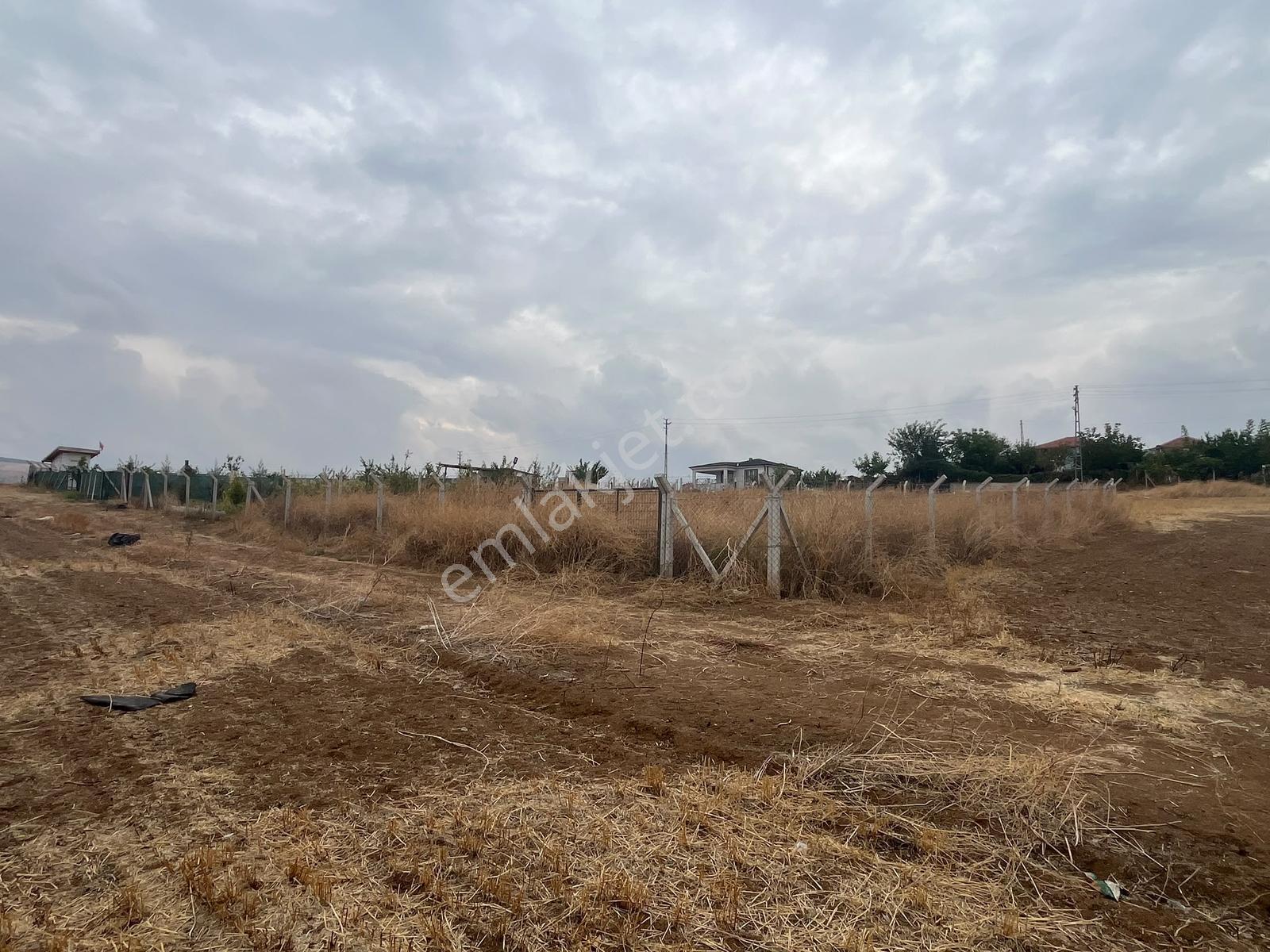 Nova'dan Ahılıda Tel Örgülü 513 M2 Arsa — fotoğraf 3