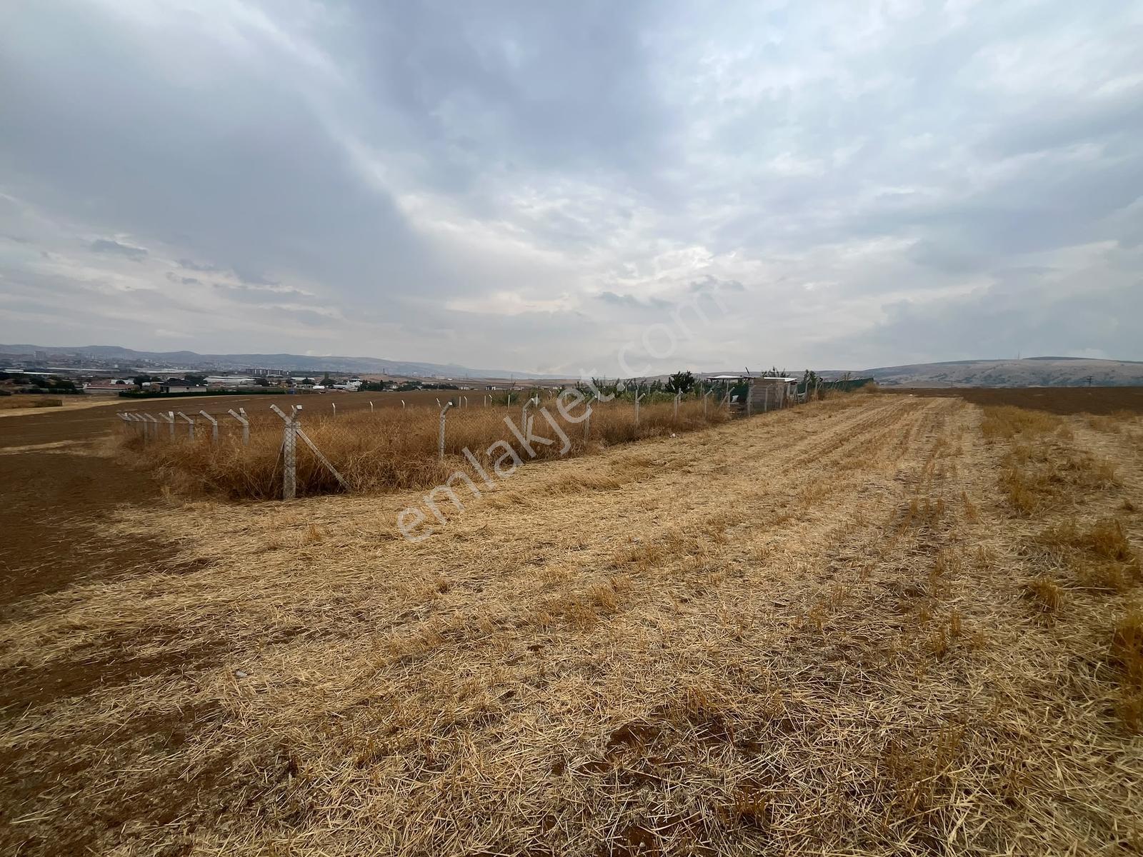 Nova'dan Ahılıda Tel Örgülü 513 M2 Arsa — fotoğraf 9