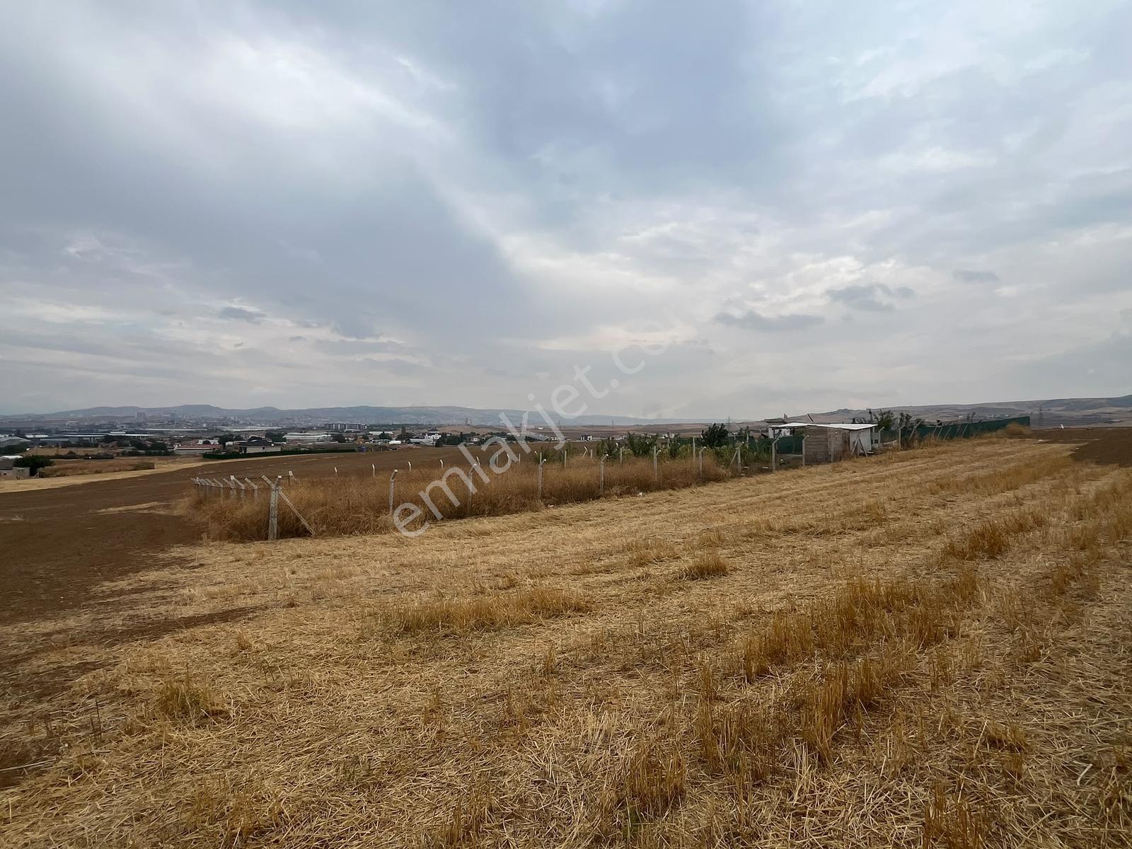 Nova'dan Ahılıda Tel Örgülü 513 M2 Arsa — fotoğraf 11