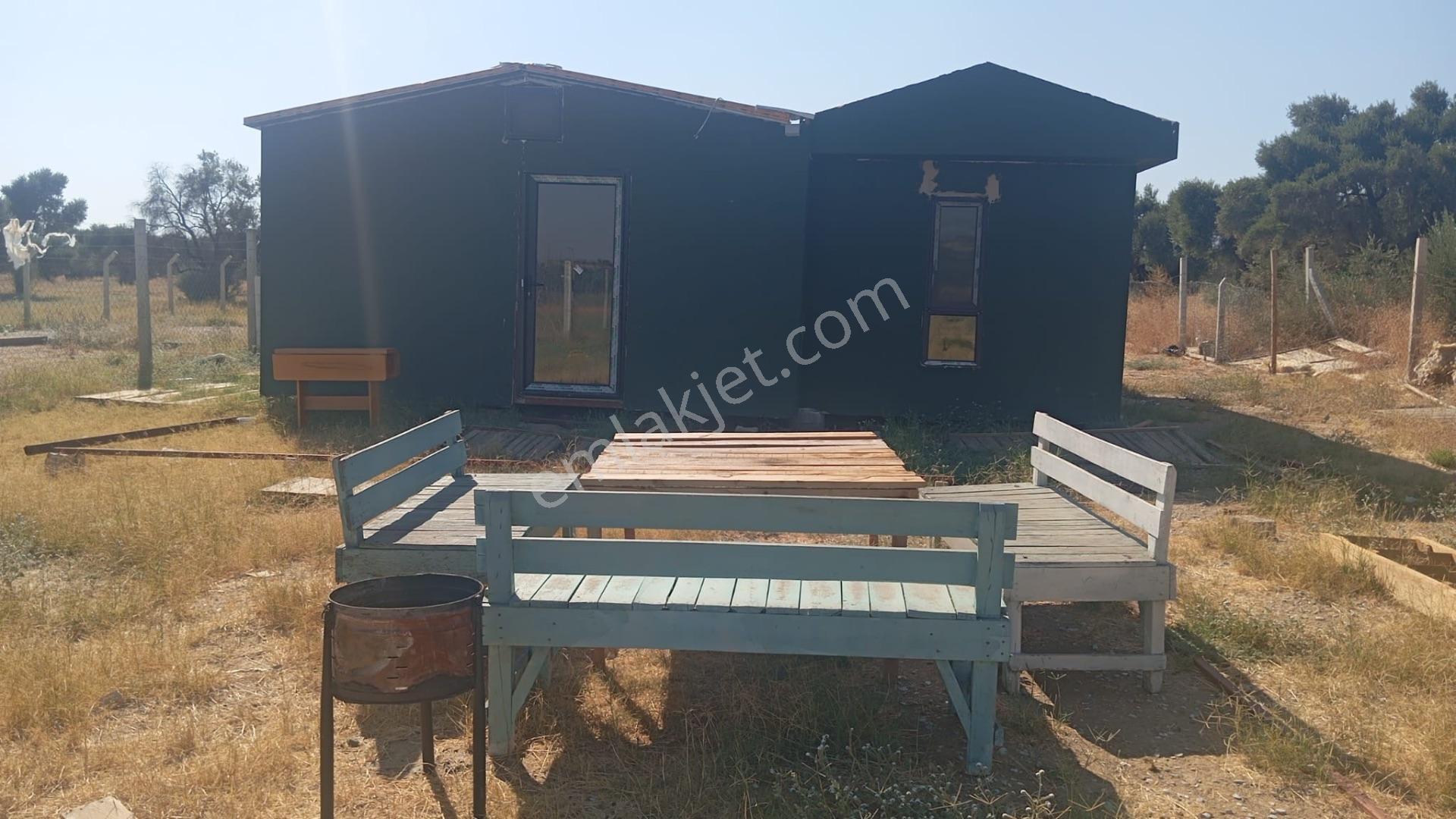 Bayındır Söğütören'de Satılık 1251 M² Doğa Manzaralı Zeytinlik — fotoğraf 4