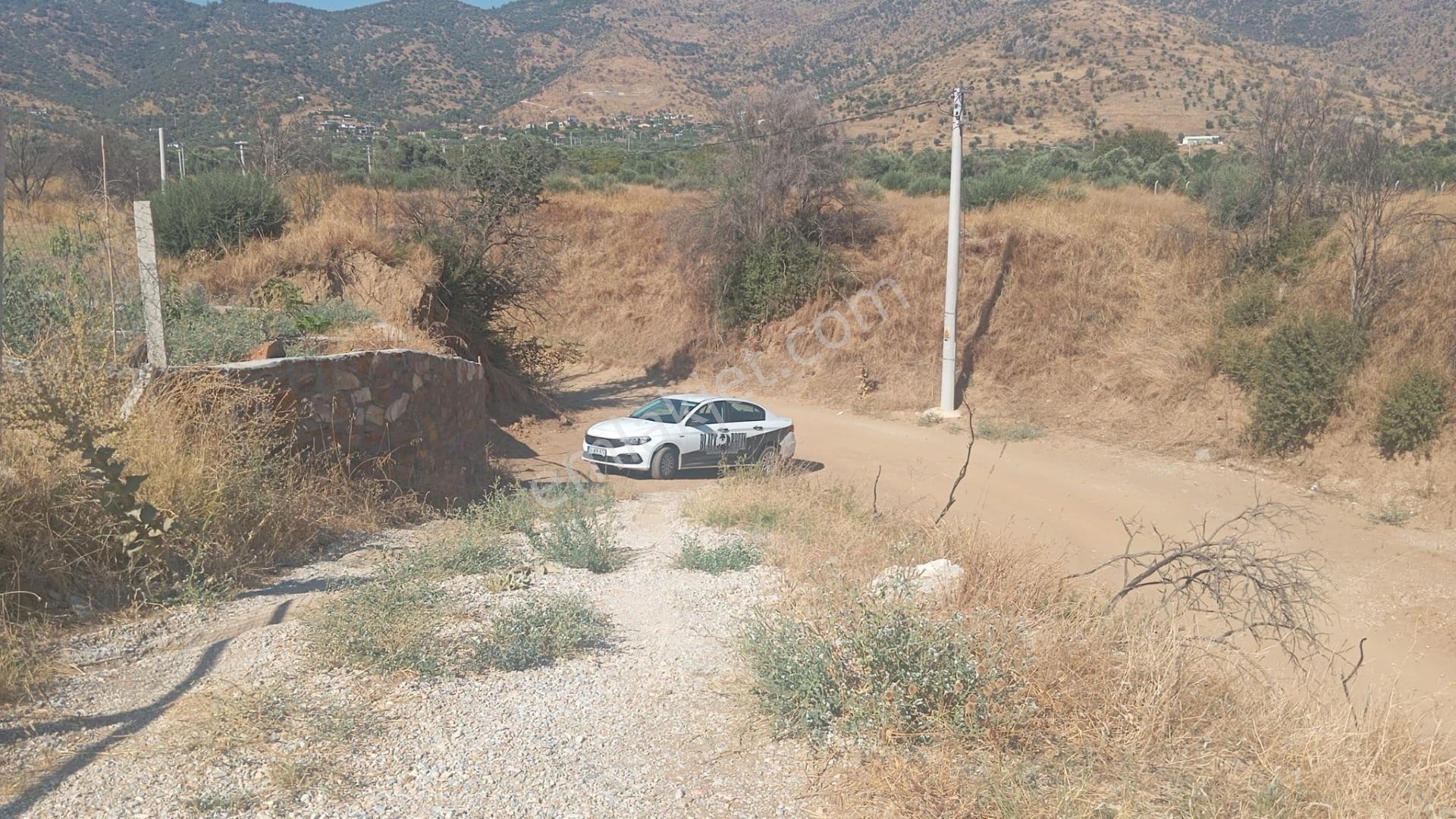 Bayındır Söğütören'de Satılık 1251 M² Doğa Manzaralı Zeytinlik — fotoğraf 5