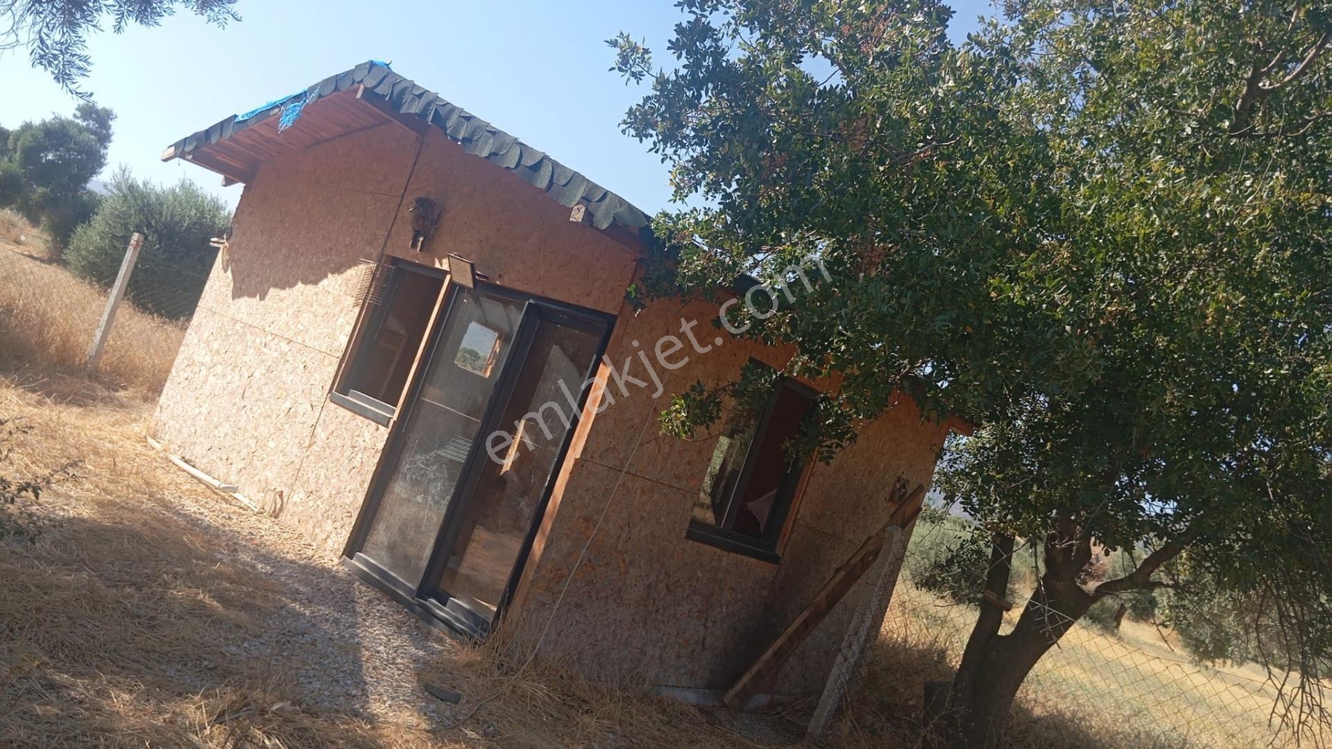 Bayındır Söğütören'de Satılık 1251 M² Doğa Manzaralı Zeytinlik — fotoğraf 10