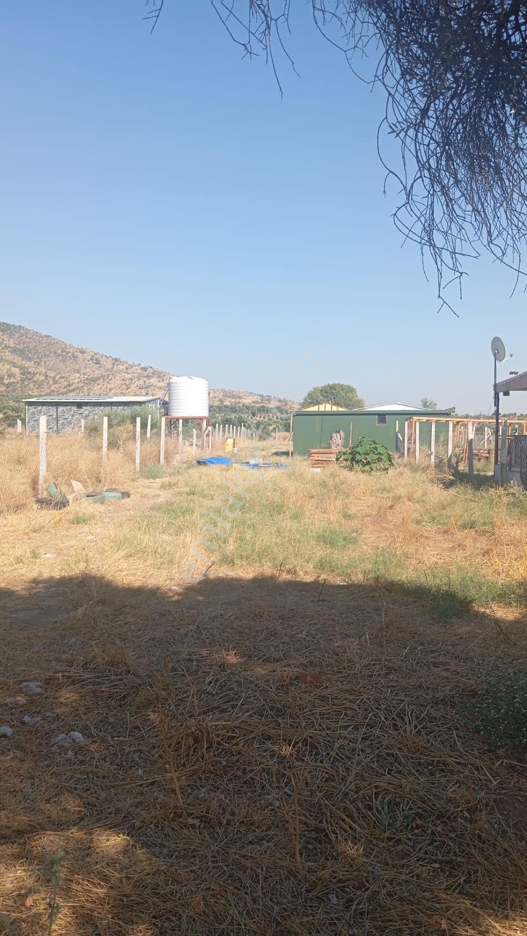 Bayındır Söğütören'de Satılık 1251 M² Doğa Manzaralı Zeytinlik — fotoğraf 12