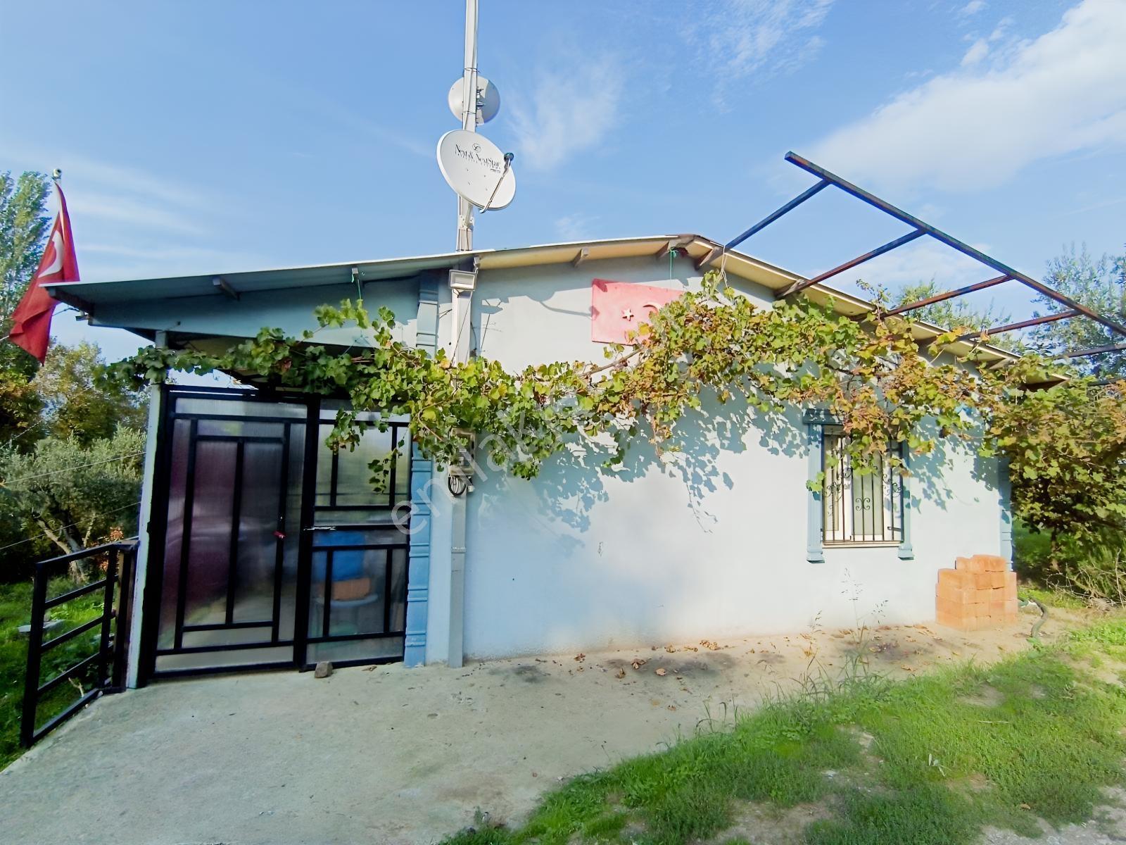 40 M² Ev Elektirii Su İnternet Mevcut 440 M² Zeytin Bahcesi