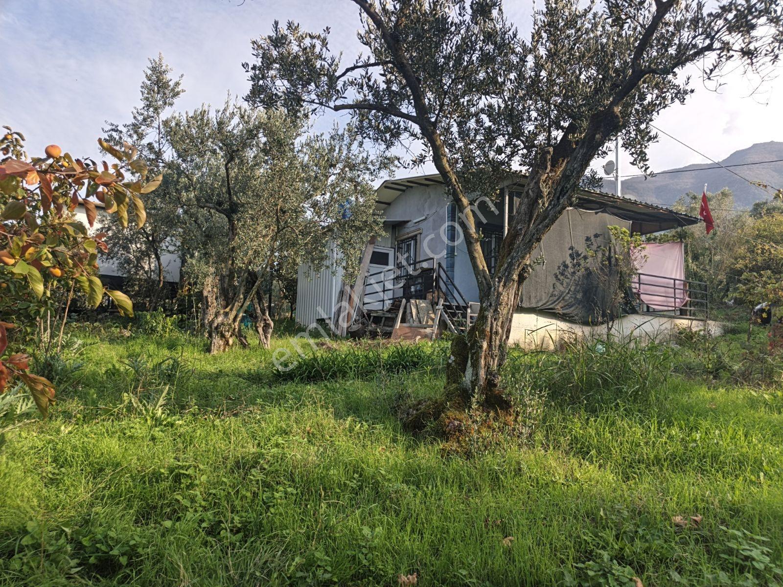 40 M² Ev Elektirii Su İnternet Mevcut 440 M² Zeytin Bahcesi — fotoğraf 2