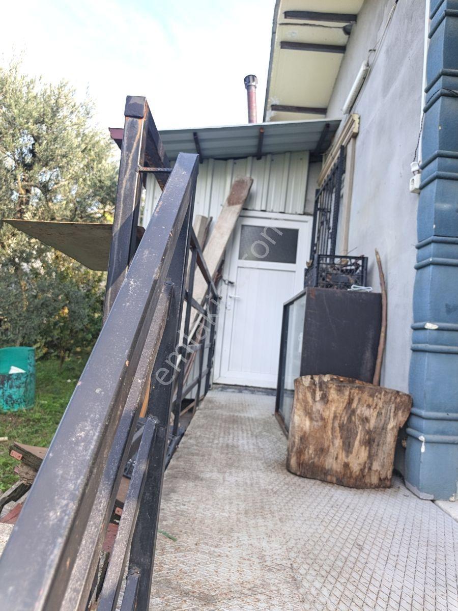 40 M² Ev Elektirii Su İnternet Mevcut 440 M² Zeytin Bahcesi — fotoğraf 5
