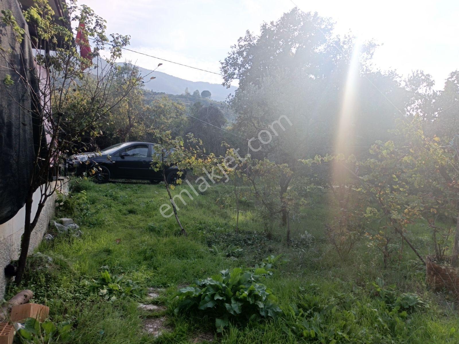 40 M² Ev Elektirii Su İnternet Mevcut 440 M² Zeytin Bahcesi — fotoğraf 9