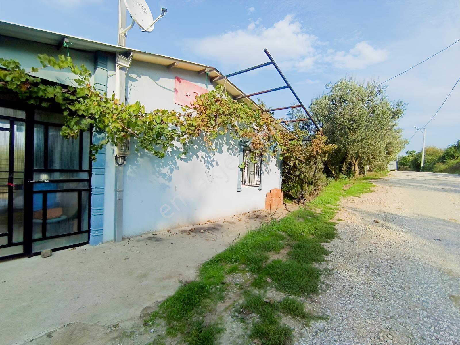 40 M² Ev Elektirii Su İnternet Mevcut 440 M² Zeytin Bahcesi — fotoğraf 10