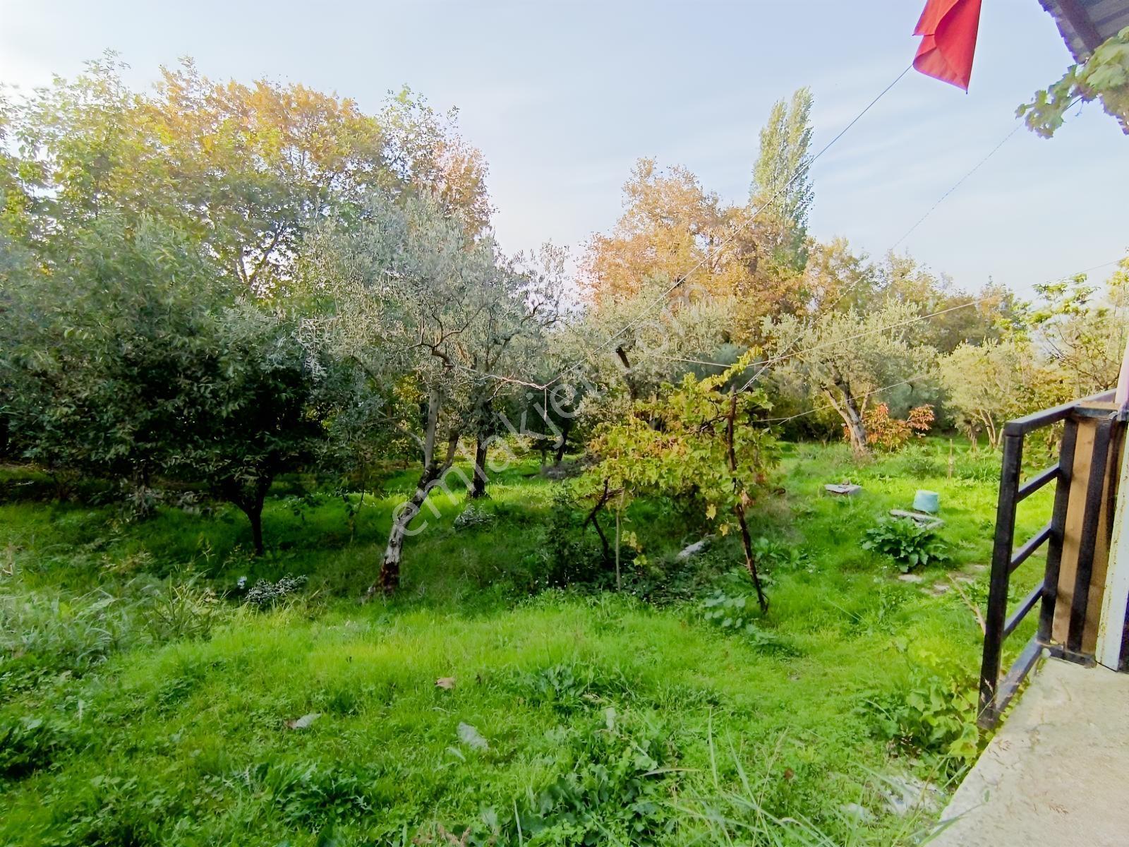 40 M² Ev Elektirii Su İnternet Mevcut 440 M² Zeytin Bahcesi — fotoğraf 11