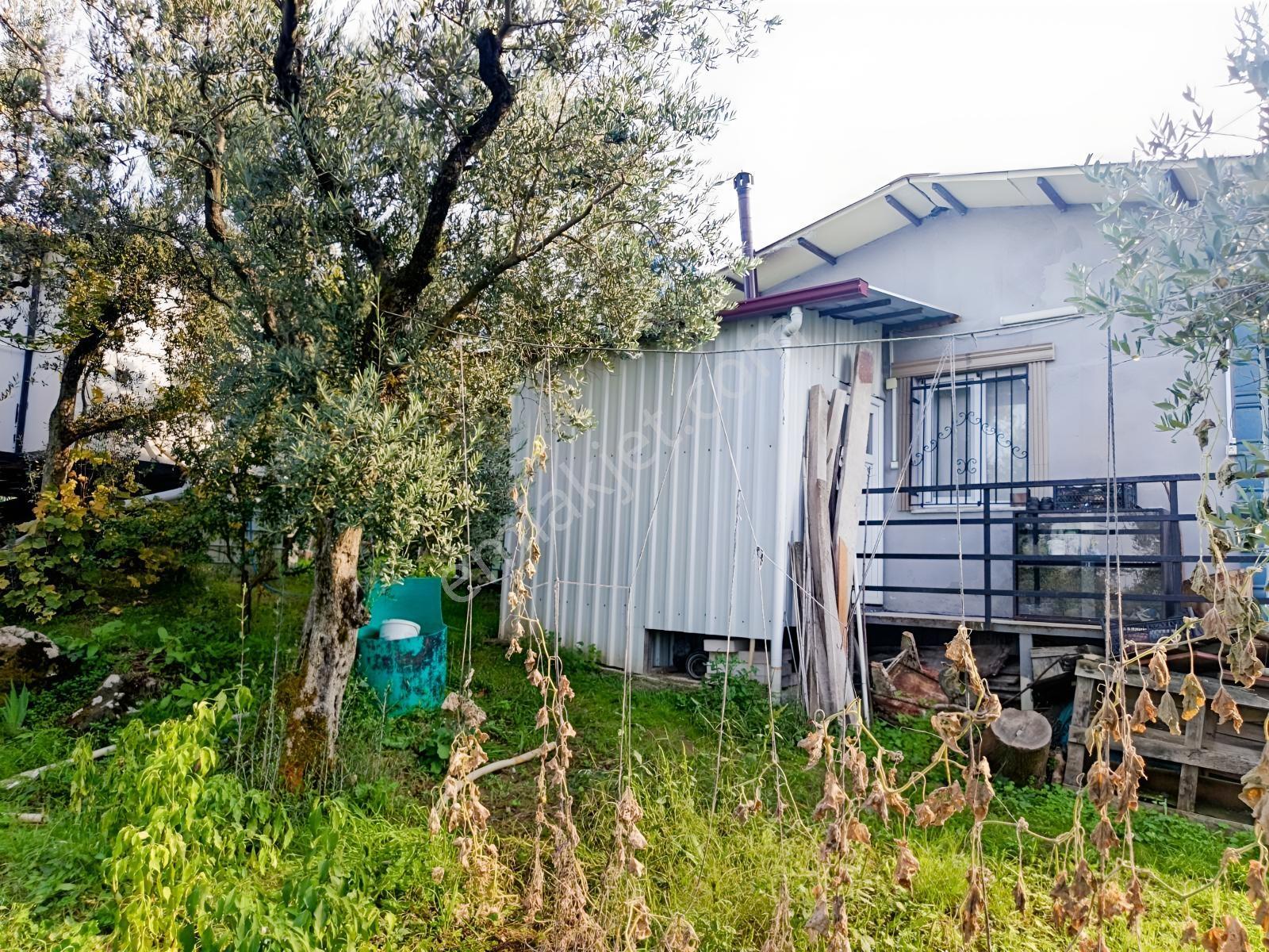 40 M² Ev Elektirii Su İnternet Mevcut 440 M² Zeytin Bahcesi — fotoğraf 12