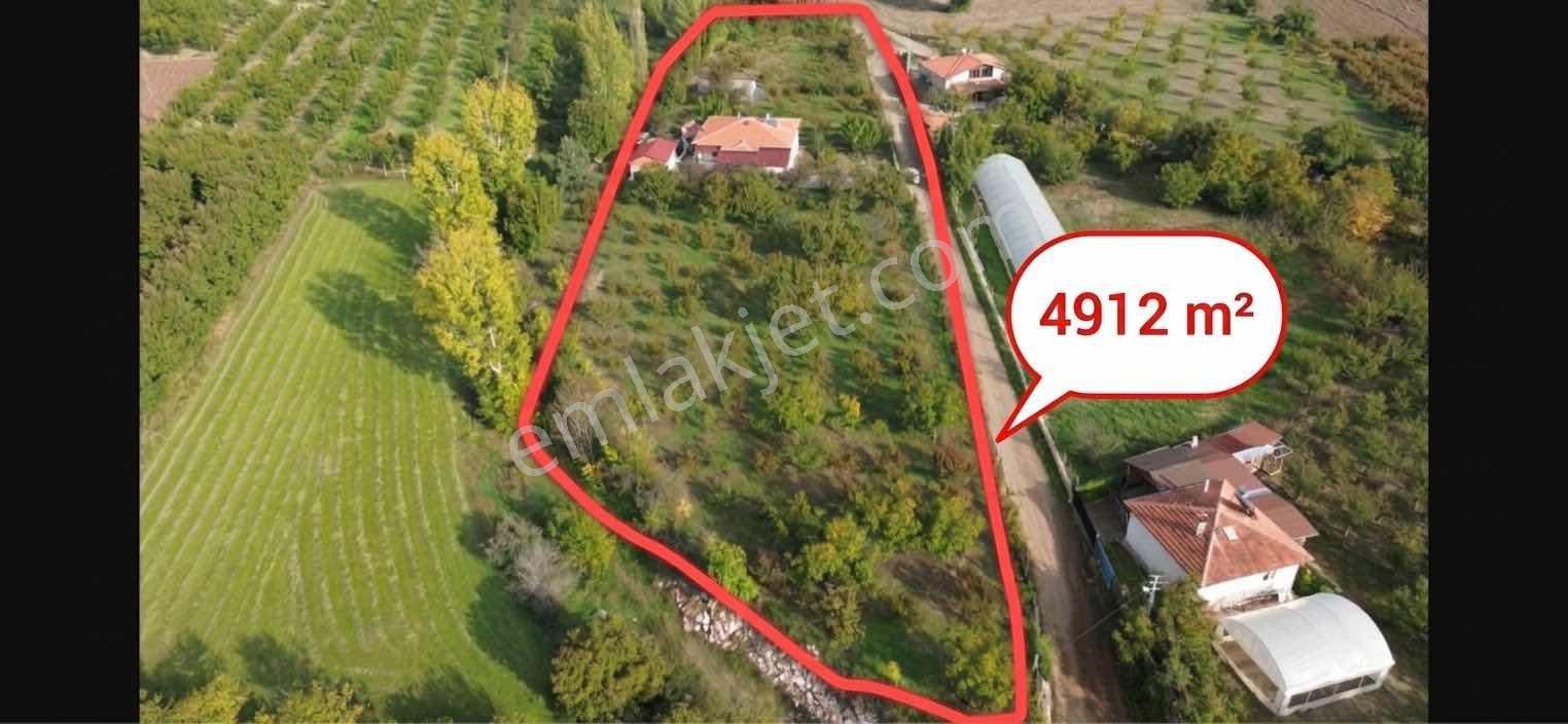 Amasya Merkez Duruca Satılık Evi Olan Bağ/ Bahçe 4912 Mk.