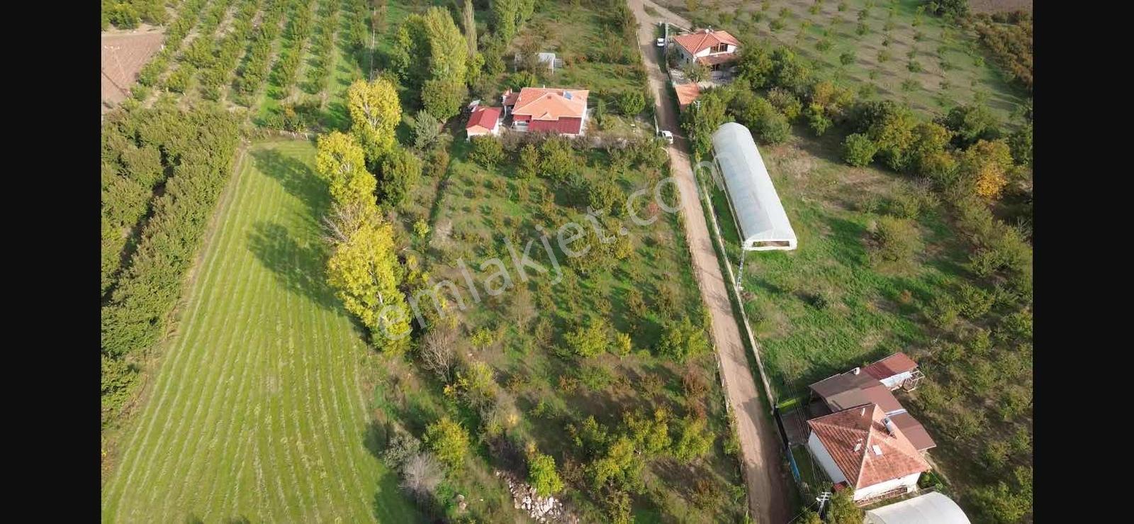 Amasya Merkez Duruca Satılık Evi Olan Bağ/ Bahçe 4912 Mk. — fotoğraf 3