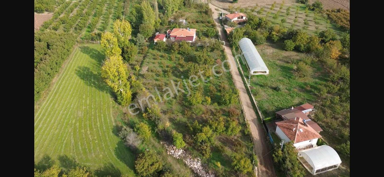 Amasya Merkez Duruca Satılık Evi Olan Bağ/ Bahçe 4912 Mk. — fotoğraf 11