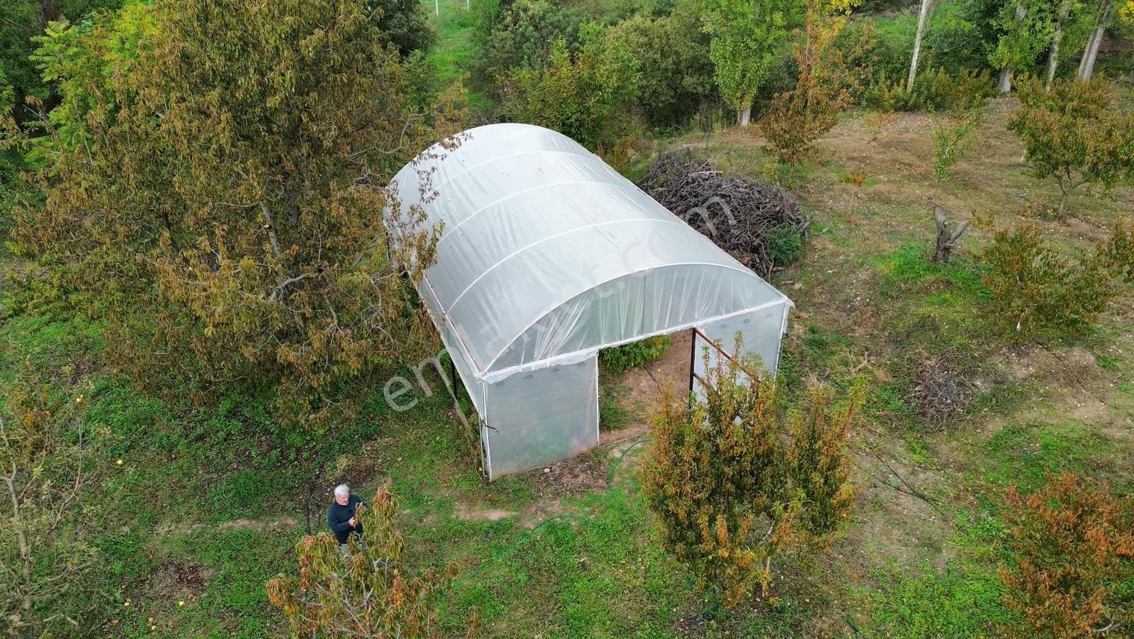 Amasya Merkez Duruca Satılık Evi Olan Bağ/ Bahçe 4912 Mk. — fotoğraf 14