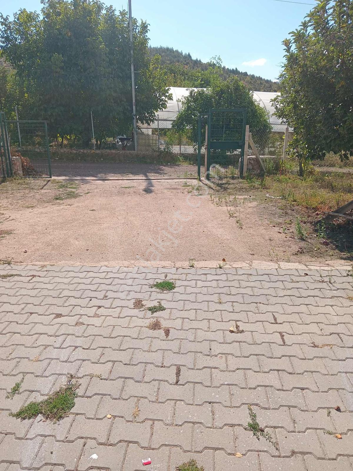 Amasya Merkez Duruca Satılık Evi Olan Bağ/ Bahçe 4912 Mk. — fotoğraf 21