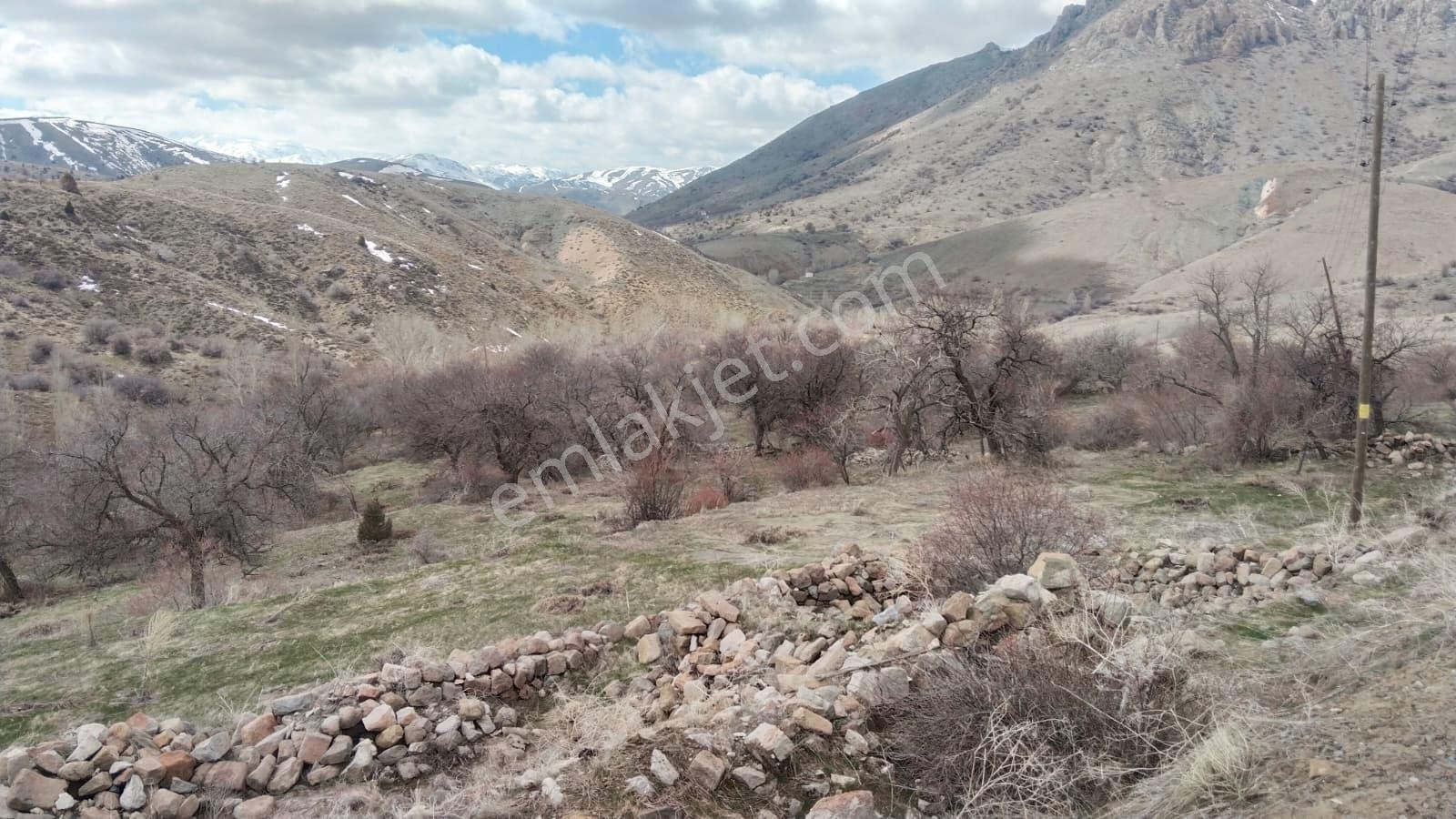 Elbistanın Resmi Yolu Olan En Ucuz Arazisi — fotoğraf 3
