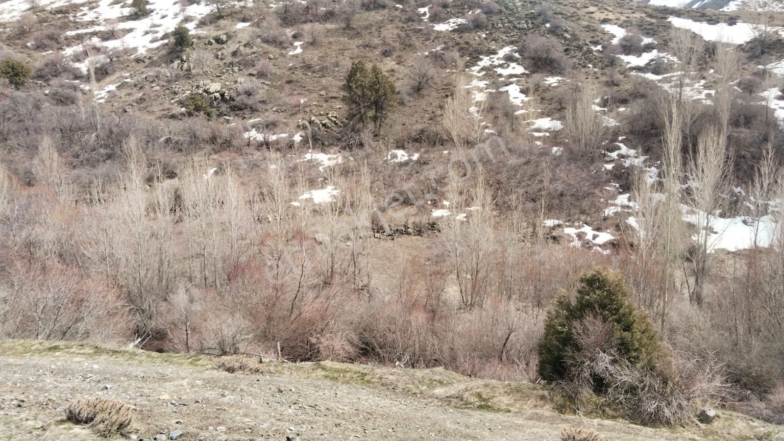 Elbistanın Resmi Yolu Olan En Ucuz Arazisi — fotoğraf 4