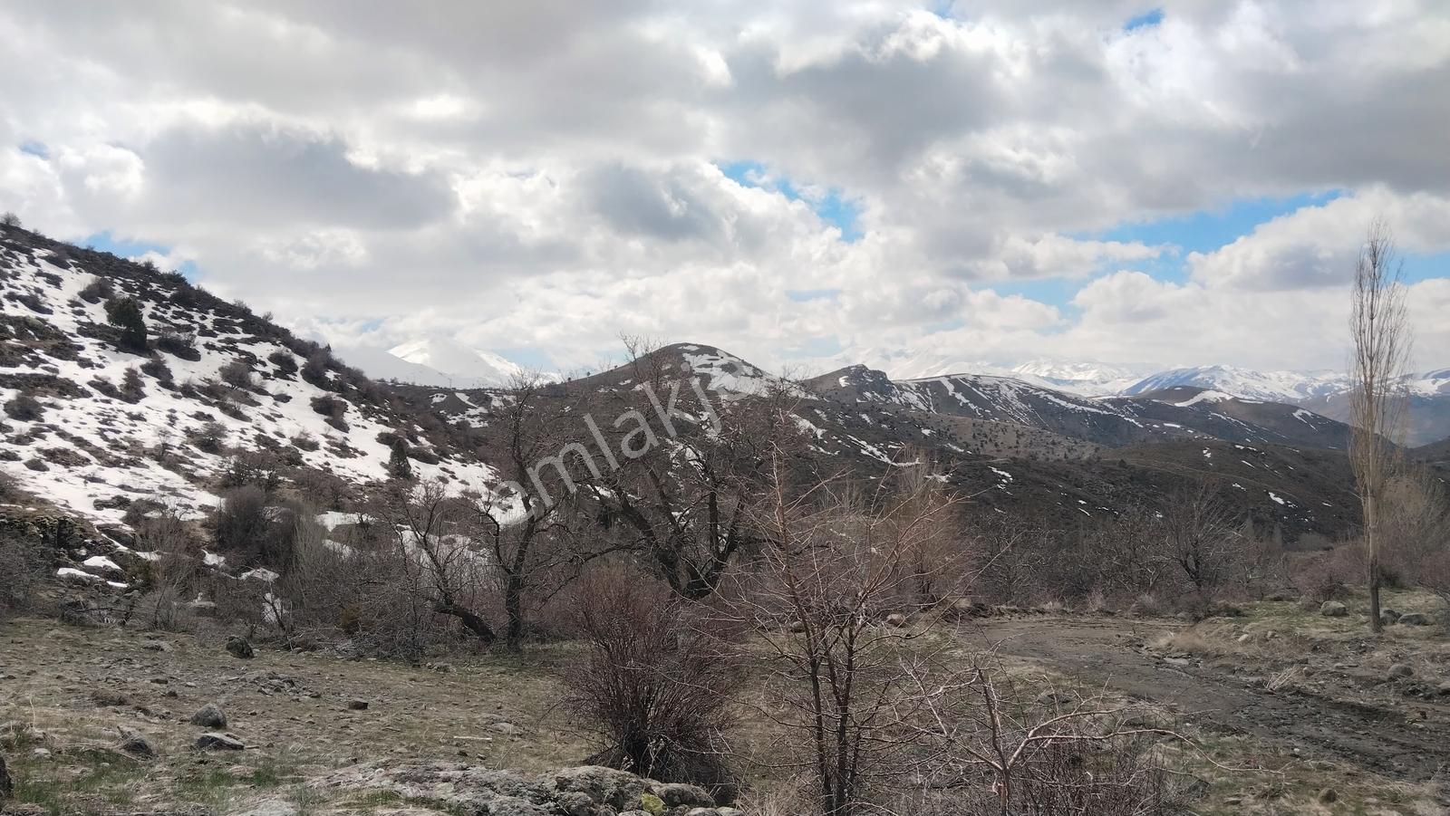 Elbistanın Resmi Yolu Olan En Ucuz Arazisi — fotoğraf 6