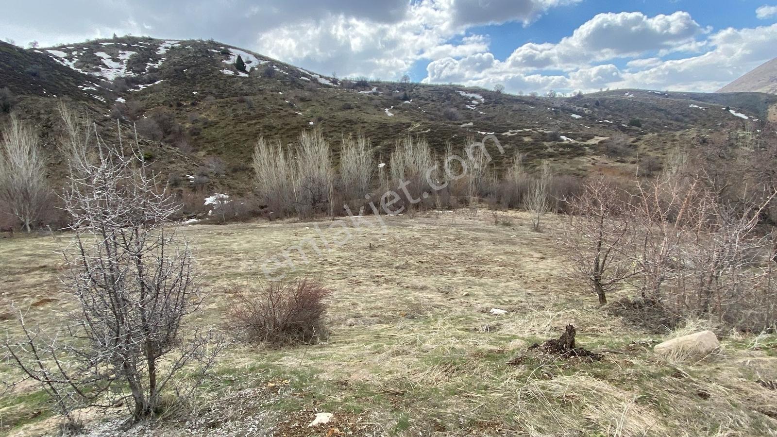 Elbistanın Resmi Yolu Olan En Ucuz Arazisi — fotoğraf 7
