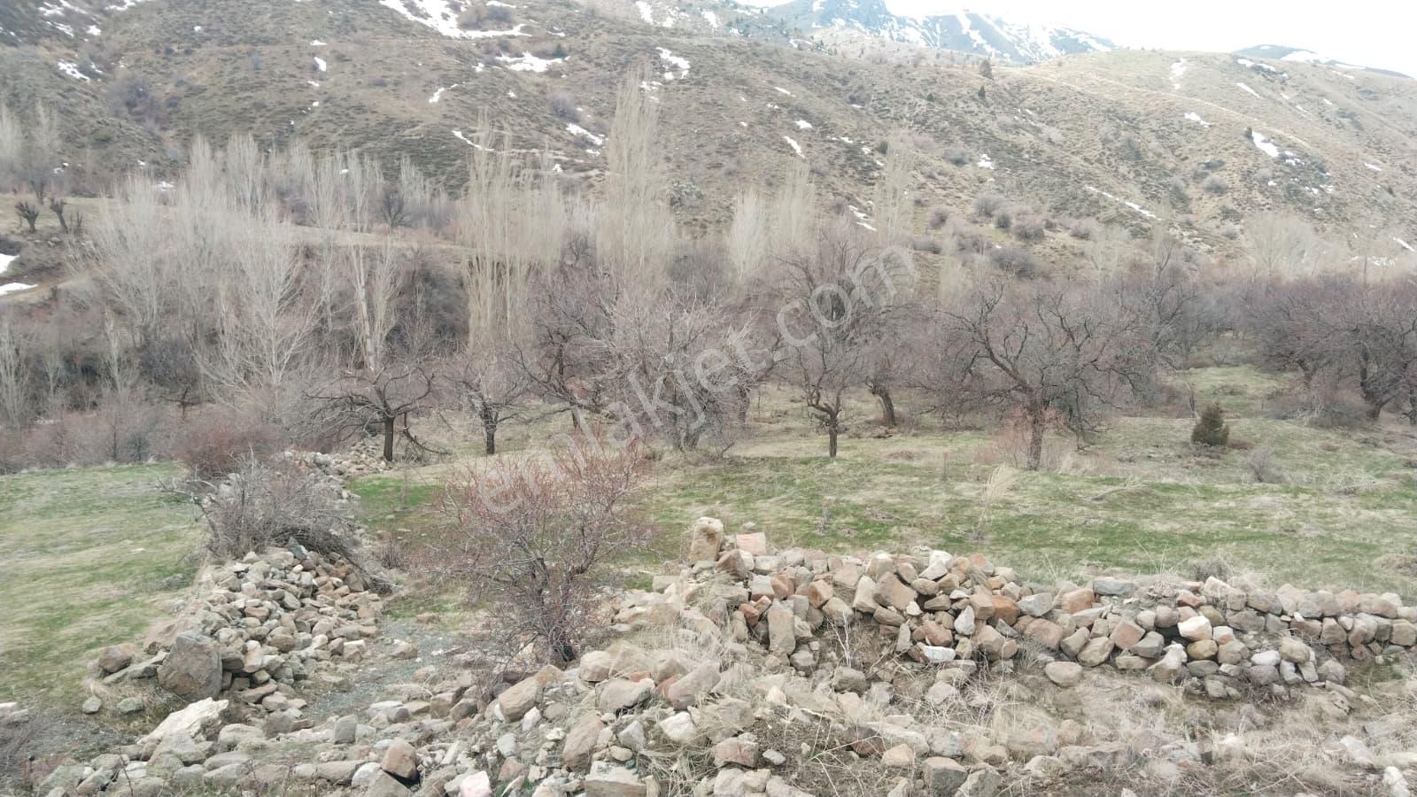 Elbistanın Resmi Yolu Olan En Ucuz Arazisi — fotoğraf 8