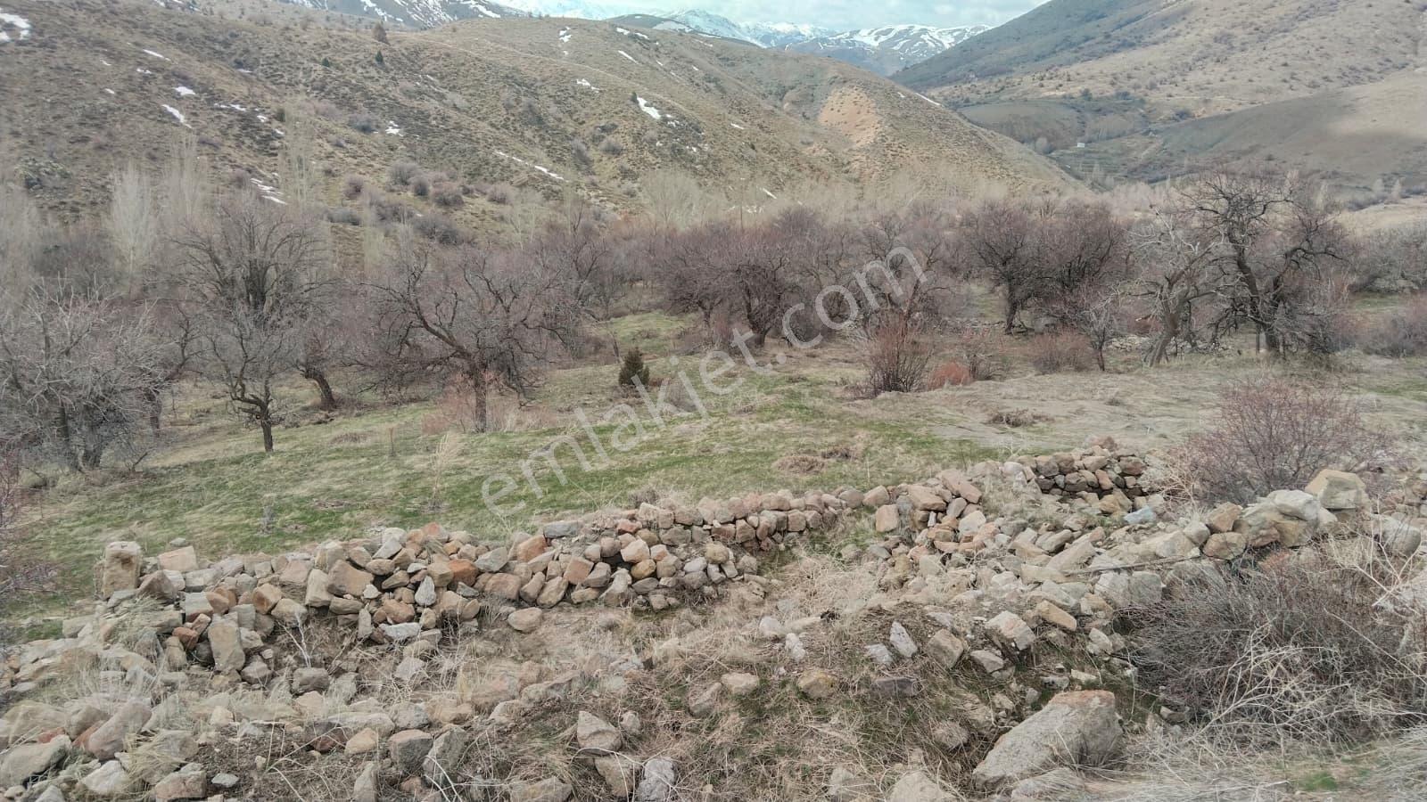 Elbistanın Resmi Yolu Olan En Ucuz Arazisi — fotoğraf 9