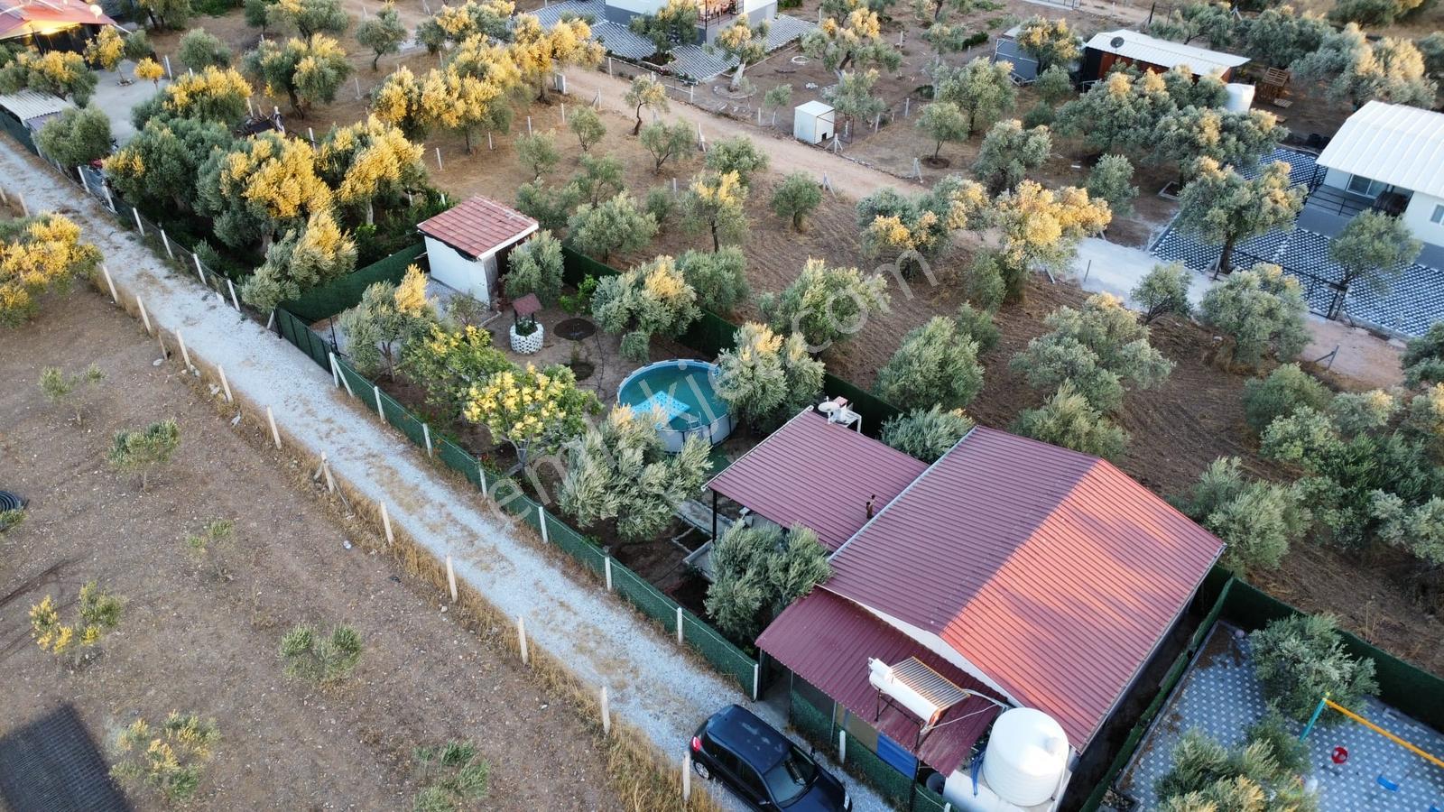 Muga'dan Yatırım Ve Yaşam İçin Karakuyu'nun Doğasında Fırsat — fotoğraf 2