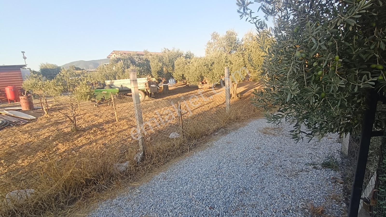 Muga'dan Yatırım Ve Yaşam İçin Karakuyu'nun Doğasında Fırsat — fotoğraf 22