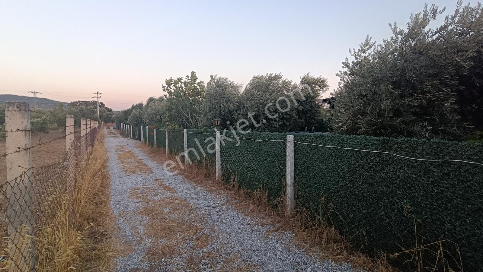 Muga'dan Yatırım Ve Yaşam İçin Karakuyu'nun Doğasında Fırsat — fotoğraf 23