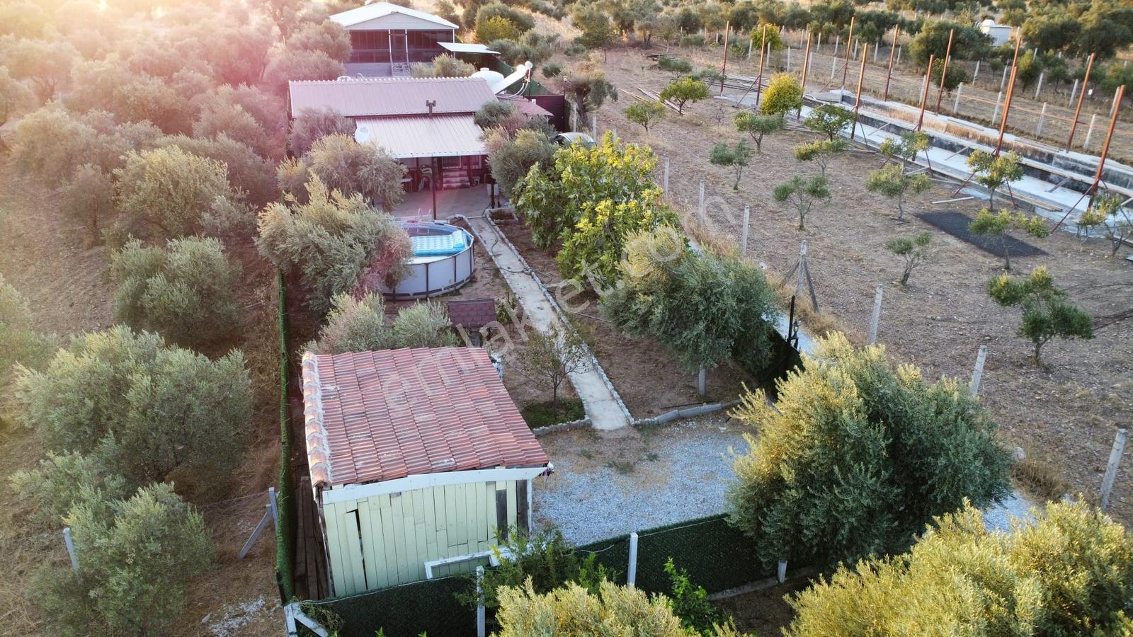 Muga'dan Yatırım Ve Yaşam İçin Karakuyu'nun Doğasında Fırsat — fotoğraf 28