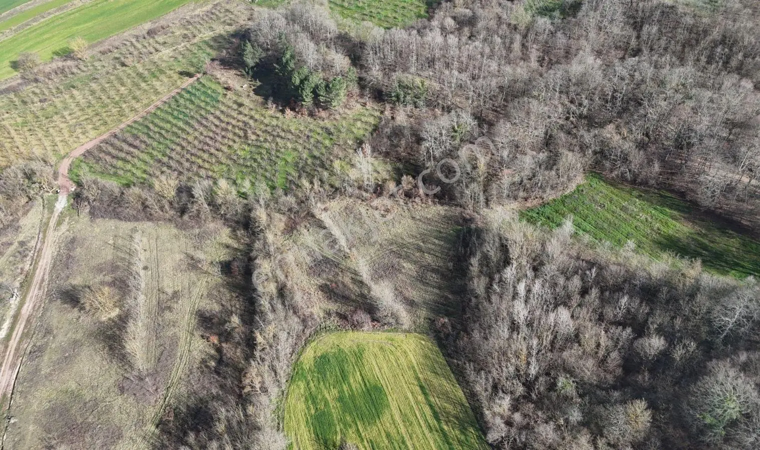 Cb Mark'tan İzmit Bulduk'ta Satılık 6092 M2 Tarla — fotoğraf 2
