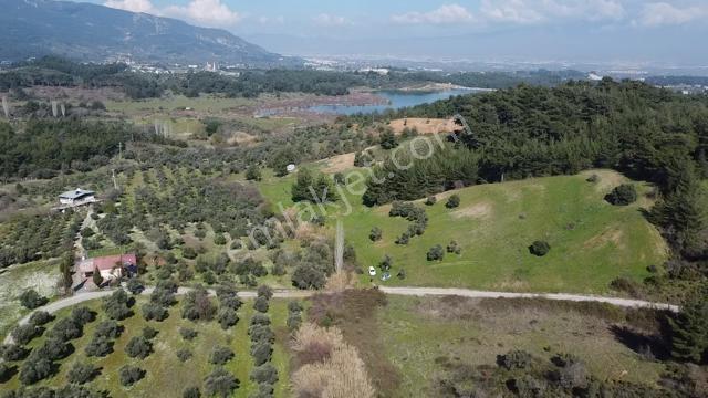 Muga'Dan Kemalpaşa Yukarıkızılca Gölete 250 Metre 15 Dönüm Arazi