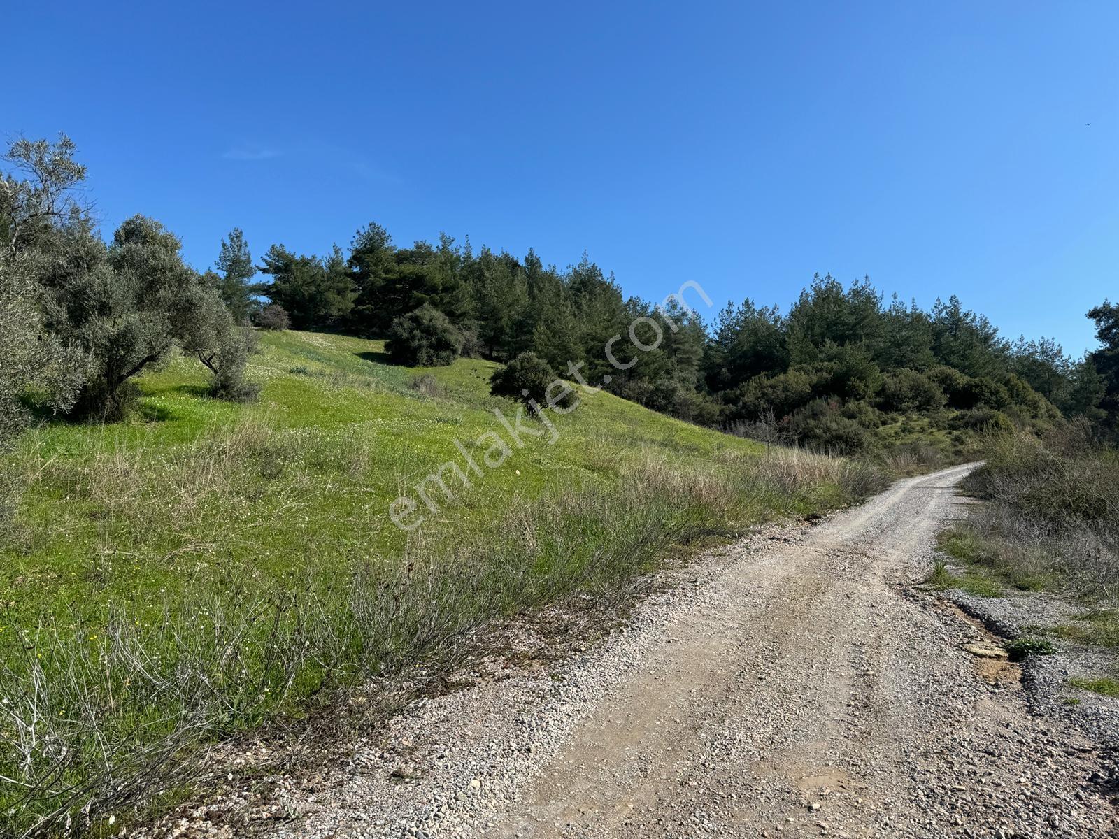 Muga'dan Kemalpaşa Yukarıkızılca Gölete 250 Metre 15 Dönüm Arazi — fotoğraf 3