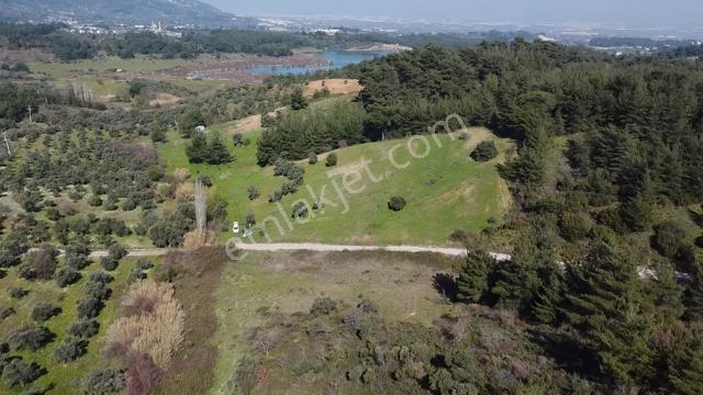 Muga'dan Kemalpaşa Yukarıkızılca Gölete 250 Metre 15 Dönüm Arazi — fotoğraf 4