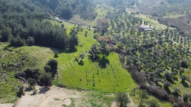 Muga'dan Kemalpaşa Yukarıkızılca Gölete 250 Metre 15 Dönüm Arazi — fotoğraf 5