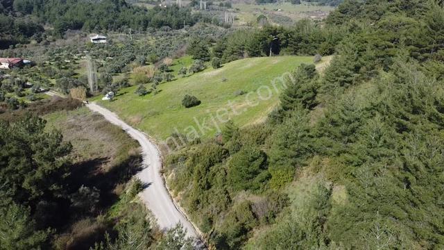Muga'dan Kemalpaşa Yukarıkızılca Gölete 250 Metre 15 Dönüm Arazi — fotoğraf 7