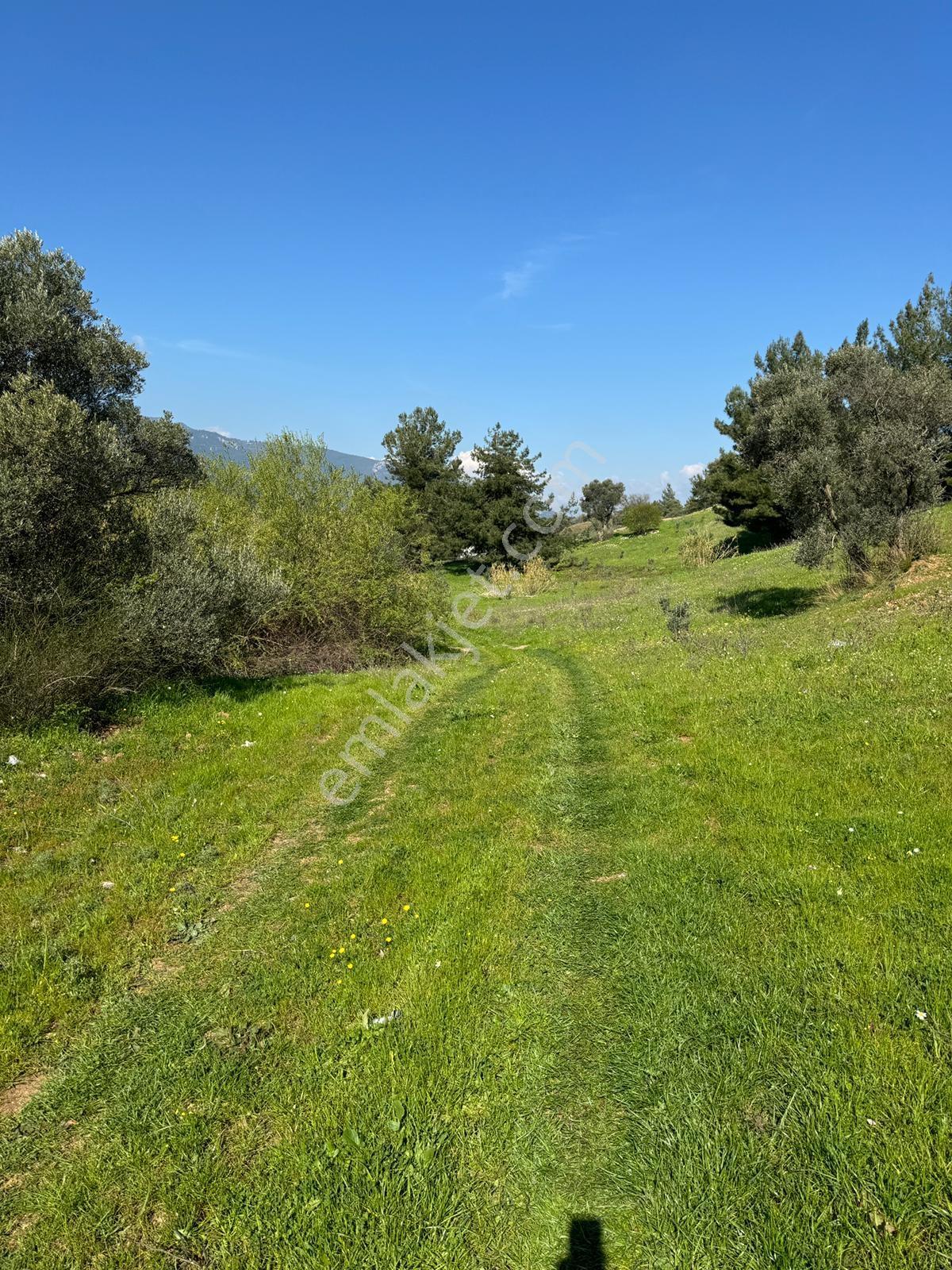 Muga'dan Kemalpaşa Yukarıkızılca Gölete 250 Metre 15 Dönüm Arazi — fotoğraf 11