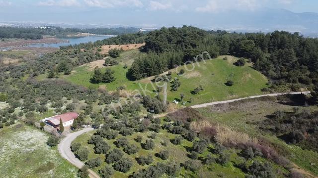 Muga'dan Kemalpaşa Yukarıkızılca Gölete 250 Metre 15 Dönüm Arazi — fotoğraf 13