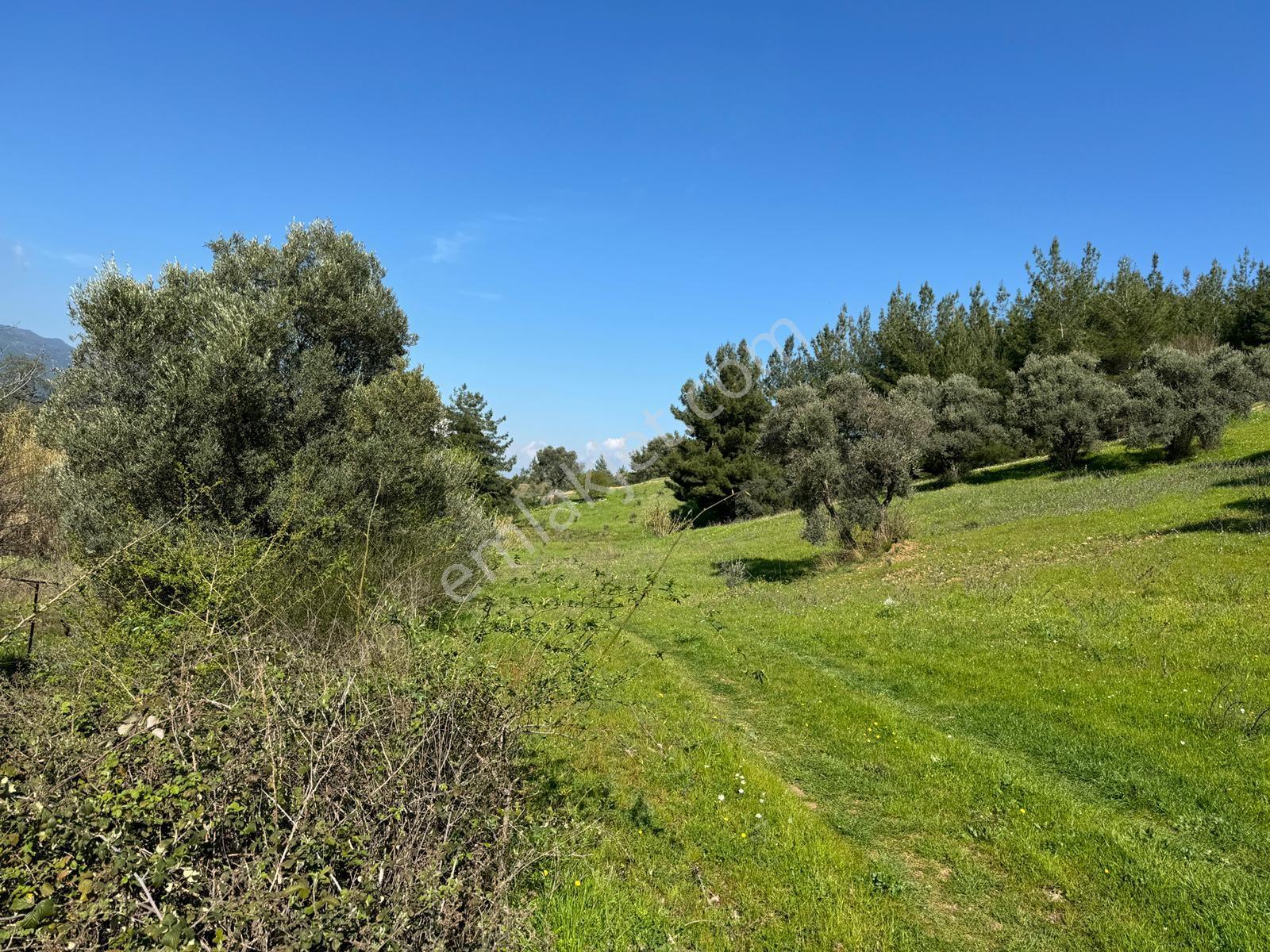 Muga'dan Kemalpaşa Yukarıkızılca Gölete 250 Metre 15 Dönüm Arazi — fotoğraf 14