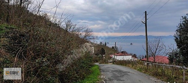 Perşembe Okçulu Da Deniz Manzaralı İmarlı Arsa