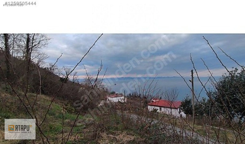 Perşembe Okçulu Da Deniz Manzaralı İmarlı Arsa — fotoğraf 3