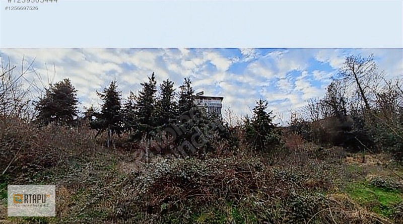 Perşembe Okçulu Da Deniz Manzaralı İmarlı Arsa — fotoğraf 4
