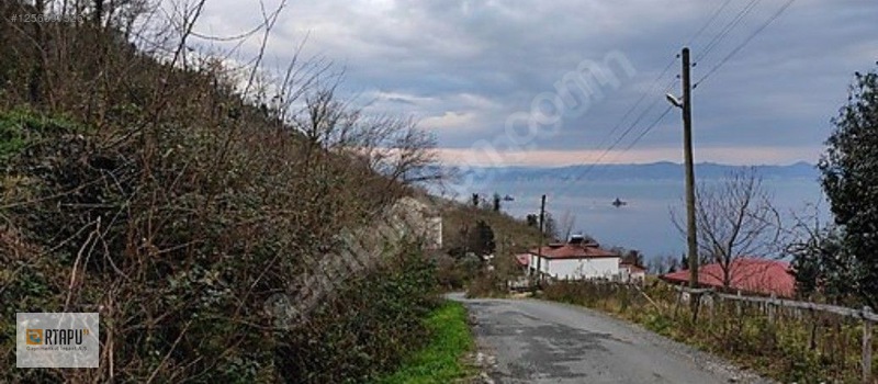 Perşembe Okçulu Da Deniz Manzaralı İmarlı Arsa — fotoğraf 6
