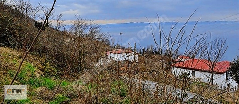 Perşembe Okçulu Da Deniz Manzaralı İmarlı Arsa — fotoğraf 7
