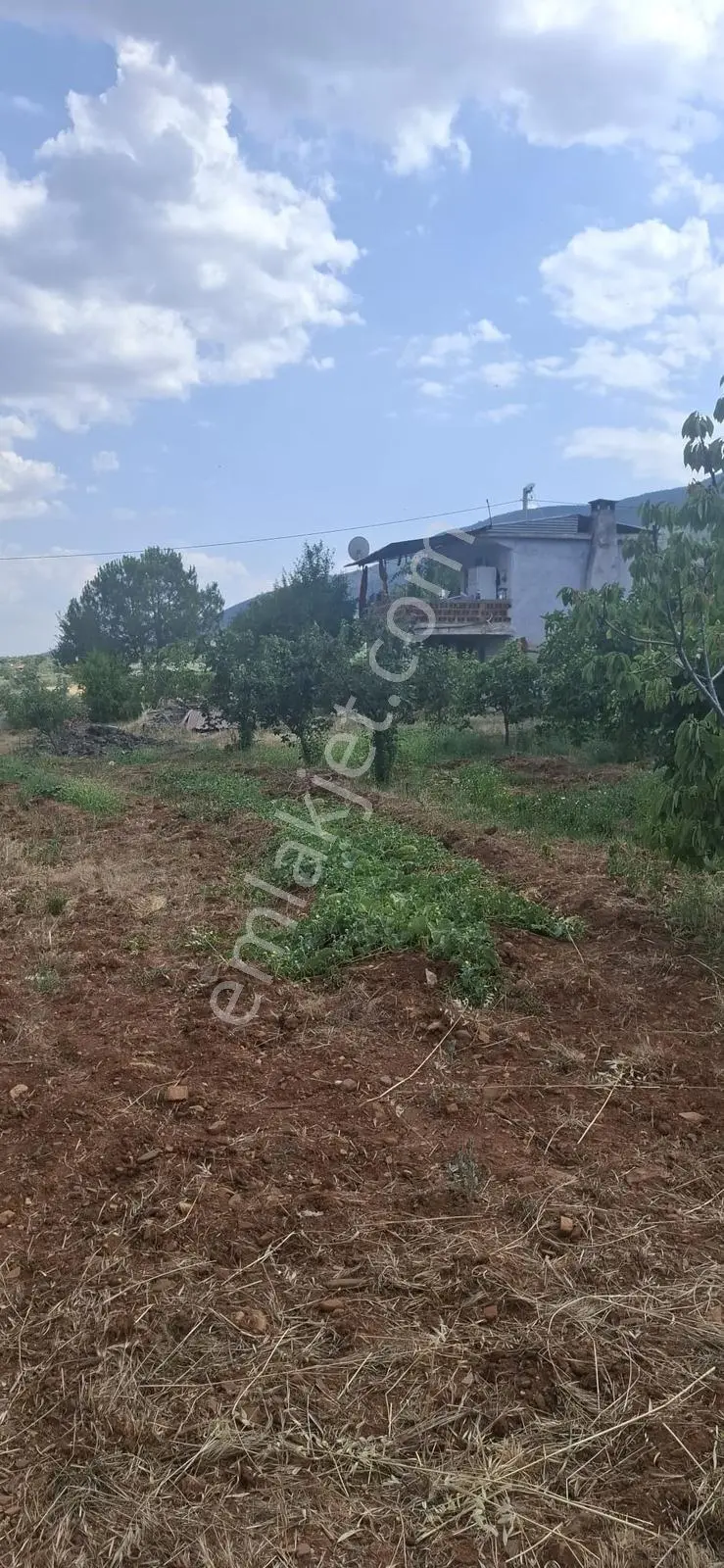 Startkey Muga'dan Karacasu Merkez Ve Üniversite Yakını Tarla — fotoğraf 5