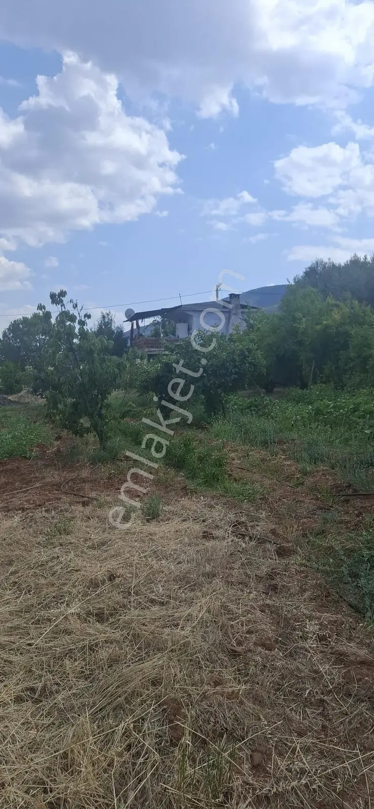 Startkey Muga'dan Karacasu Merkez Ve Üniversite Yakını Tarla — fotoğraf 6