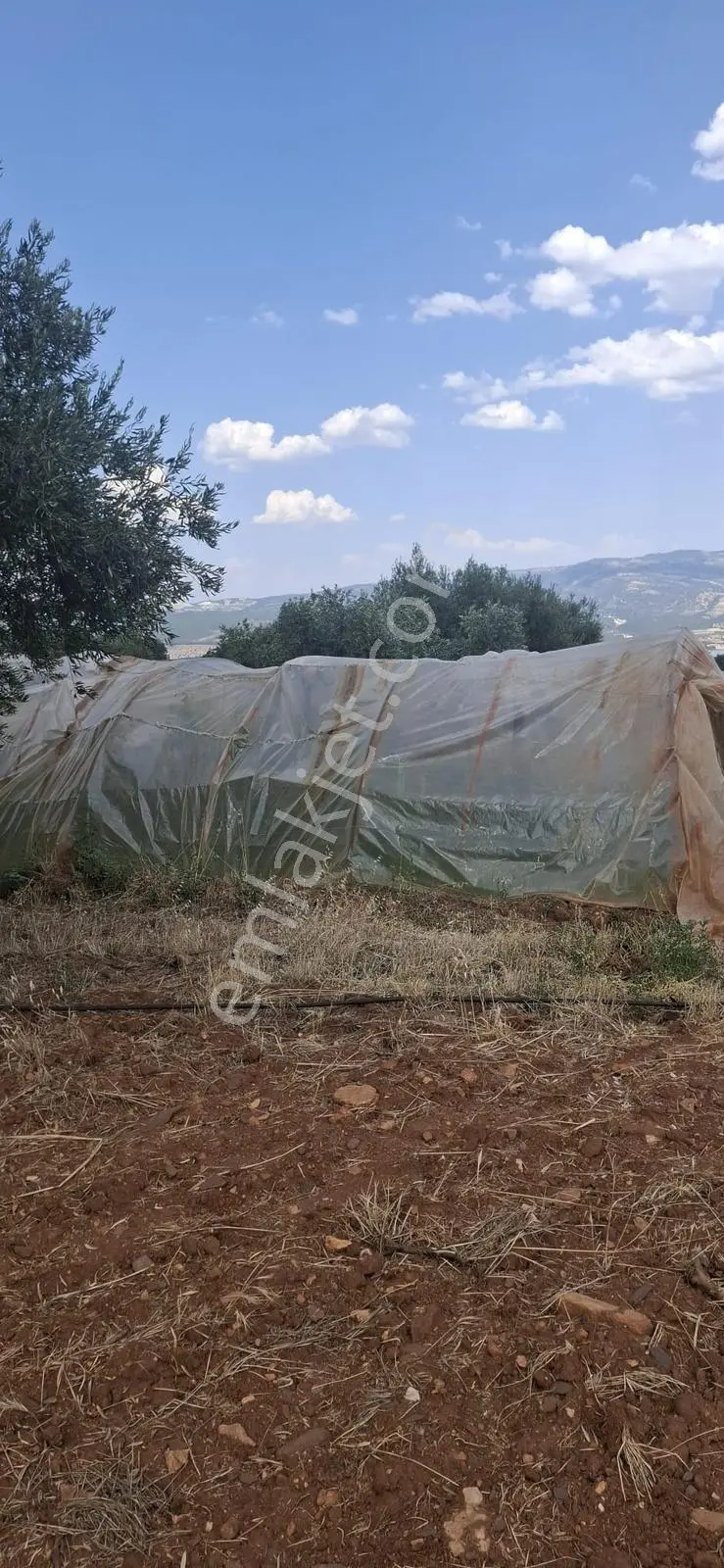 Startkey Muga'dan Karacasu Merkez Ve Üniversite Yakını Tarla — fotoğraf 7