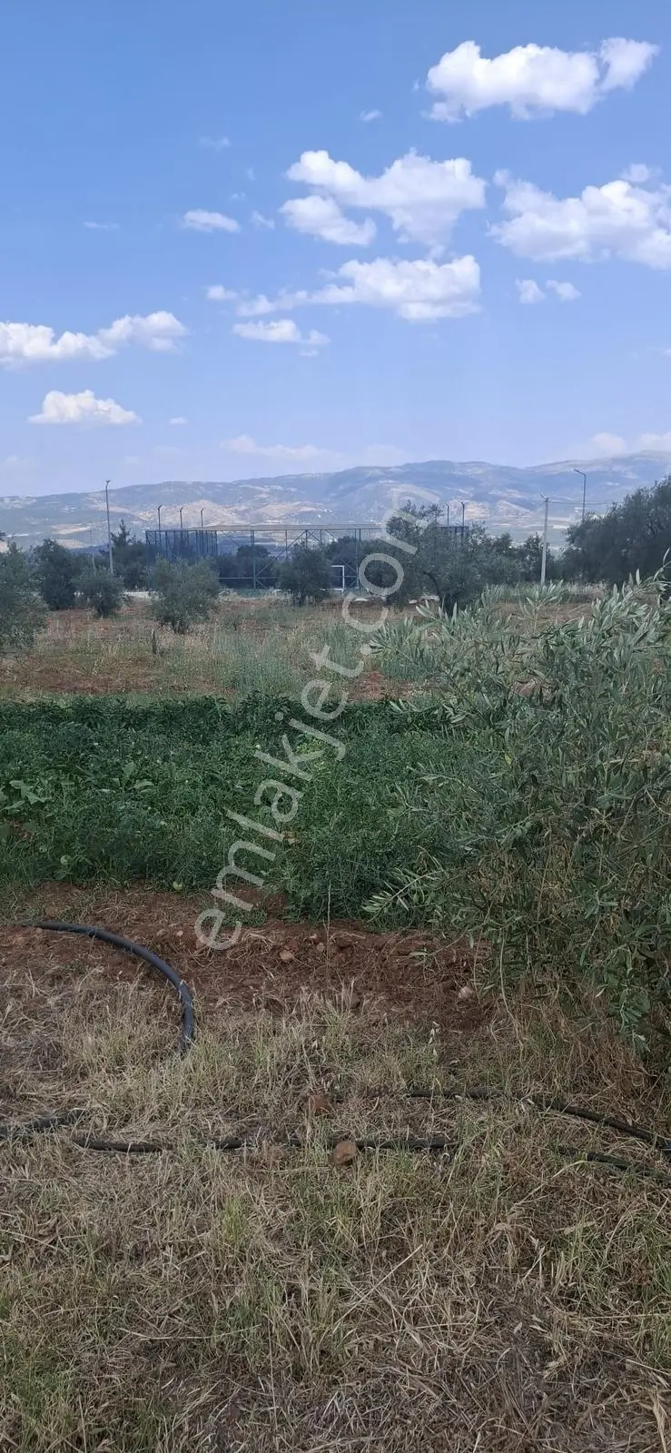 Startkey Muga'dan Karacasu Merkez Ve Üniversite Yakını Tarla — fotoğraf 9